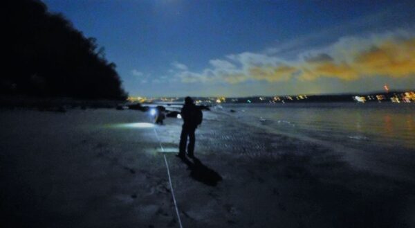 BeachNET launches as part of larger Salish Sea restoration