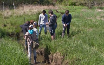 High School Biology Students Will Share Field Science Experiences and Findings at ED Talks: June 4