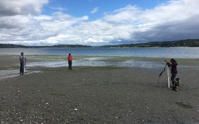 Bringing Back the Beach: How Island Bulkhead Removal Relates to Salmon Health