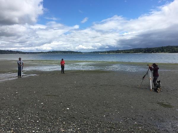 Bringing Back the Beach: How Island Bulkhead Removal Relates to Salmon Health