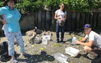 Summer 2019: thank you community science volunteers!