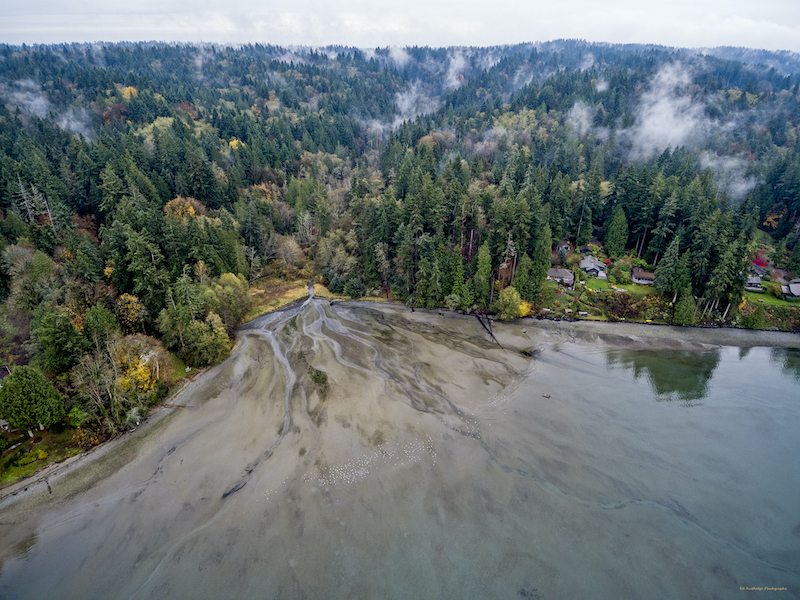 Aerial photograph of Fern Cove in Fall.