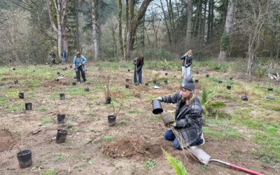 Vashon Students Take Action to Offset Carbon Emissions